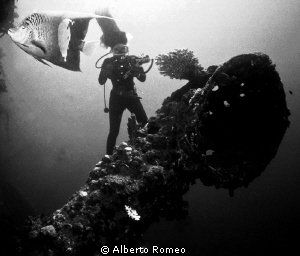 On the wreck of italian ship "Umbria"  autosunked in Red ... by Alberto Romeo 